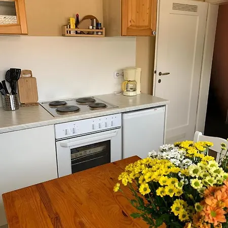 Daire Fruehlingsau Freudenstadt